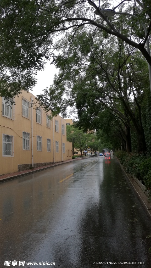 雨中的出小路