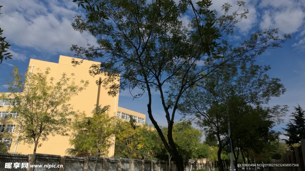 西边是校园