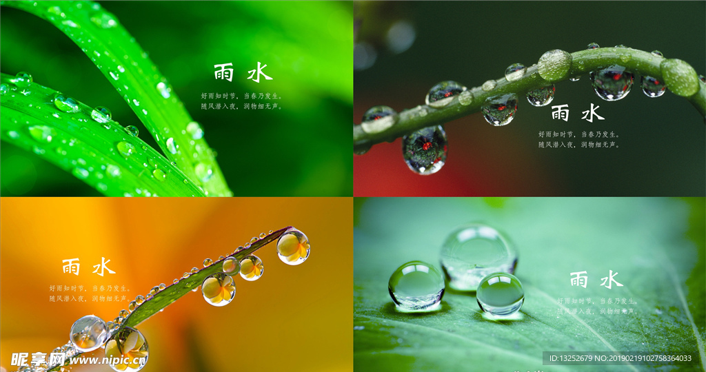 雨水