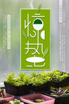 惊蛰