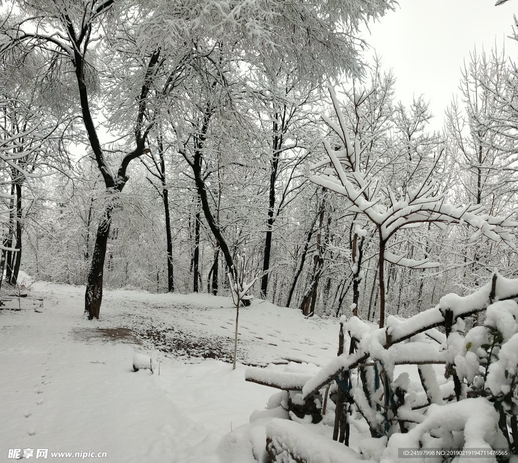 雪景