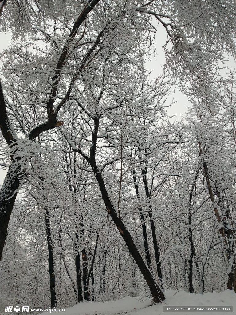 雪景