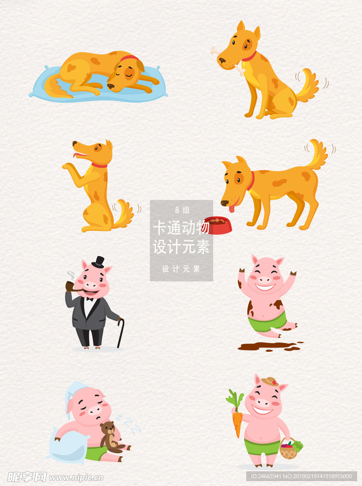 动物