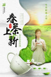 新茶上新