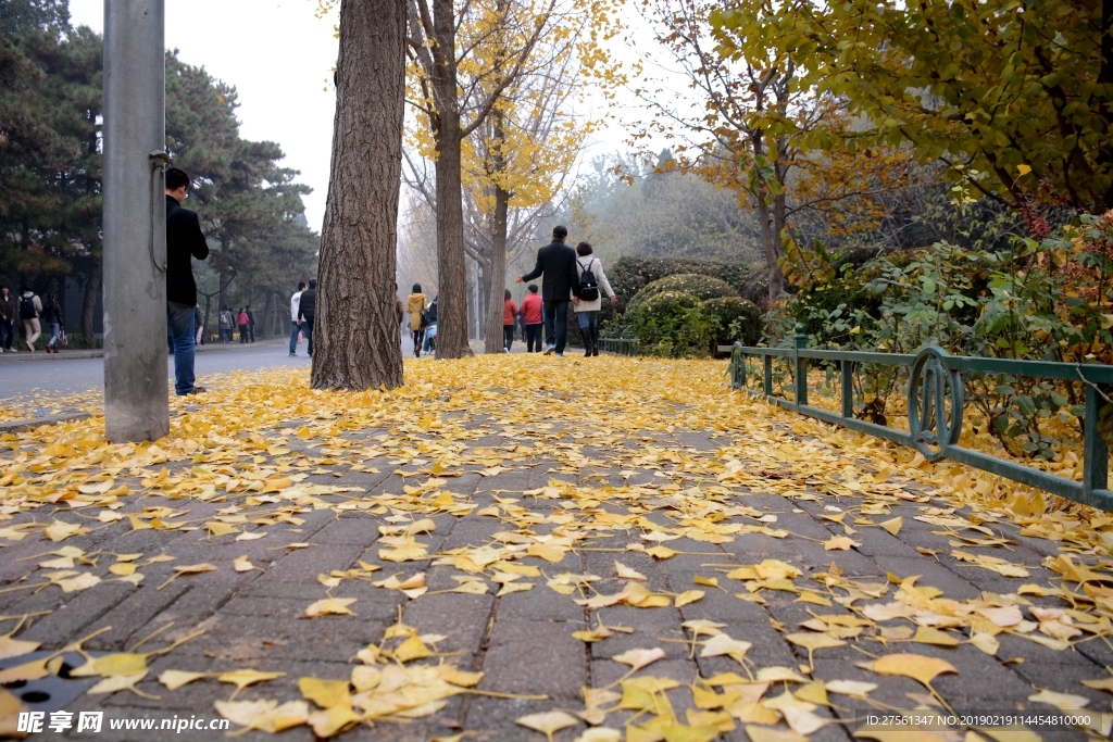 晚秋街景