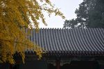 屋顶