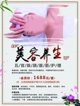 美容养生