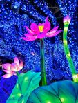 惠州西湖花灯