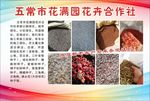宣传彩页
