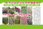 宣传彩页