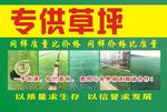 宣传彩页