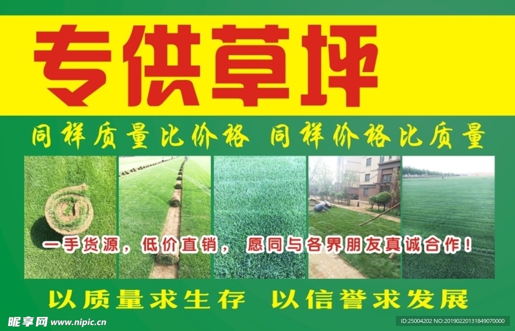 宣传彩页