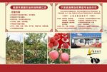 宣传彩页