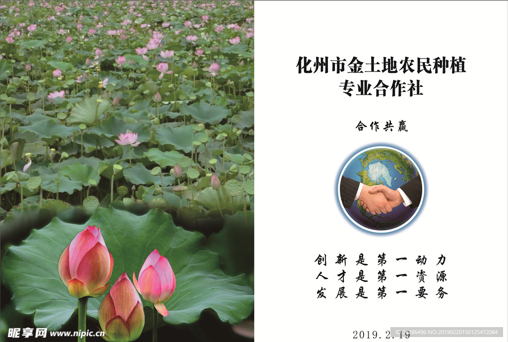 荷花种植标书