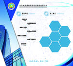 公司历程