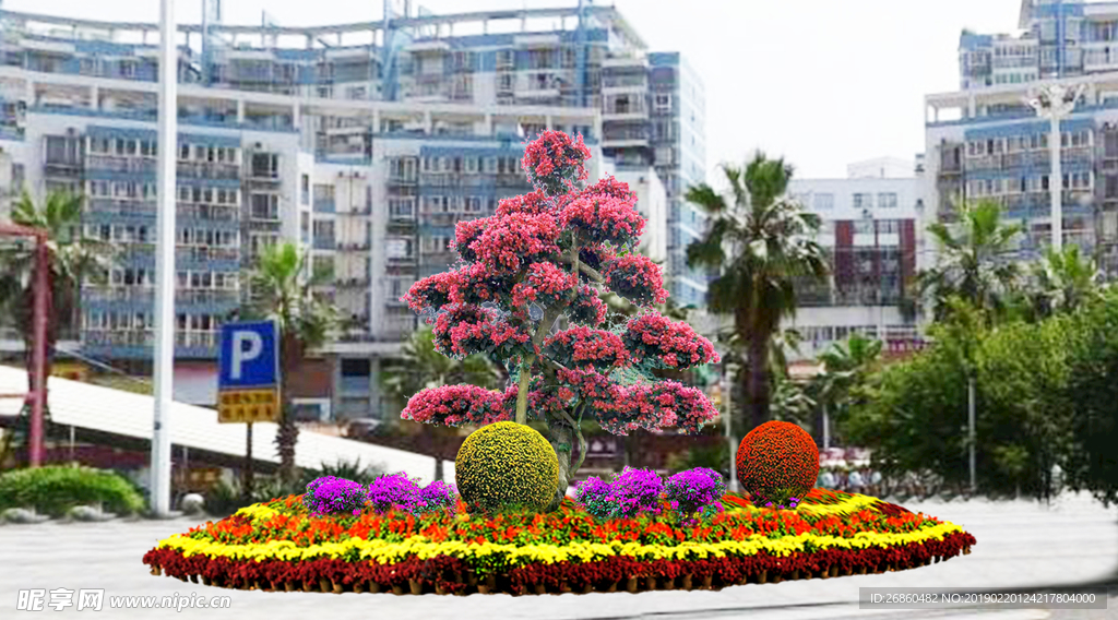 三角梅 节日氛围 国庆 春节