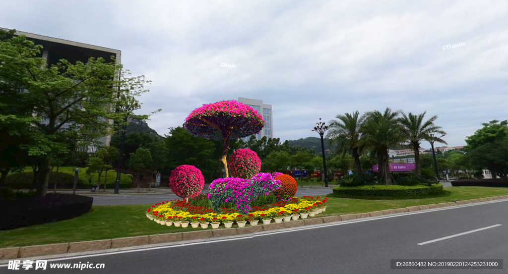 三角梅 节日氛围 国庆 春节