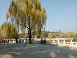 自然风景