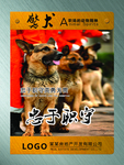 动物精神挂图