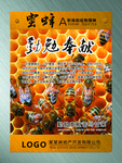 动物精神挂图