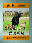 动物精神挂图感恩回报