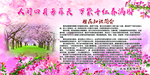 樱花知识