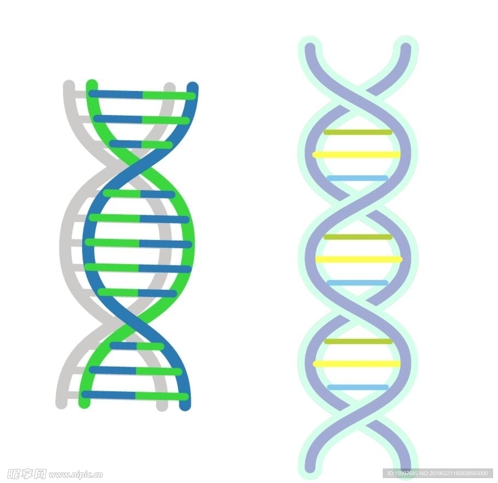 DNA图案