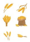 粮食图标