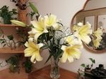 百合