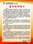 阳光保险险种简介 KT牌
