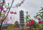 浦北文昌塔