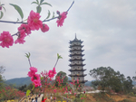 浦北文昌塔