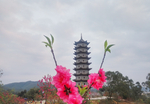 浦北文昌塔