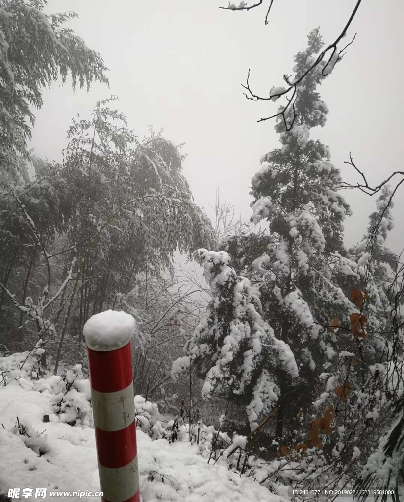 雪景