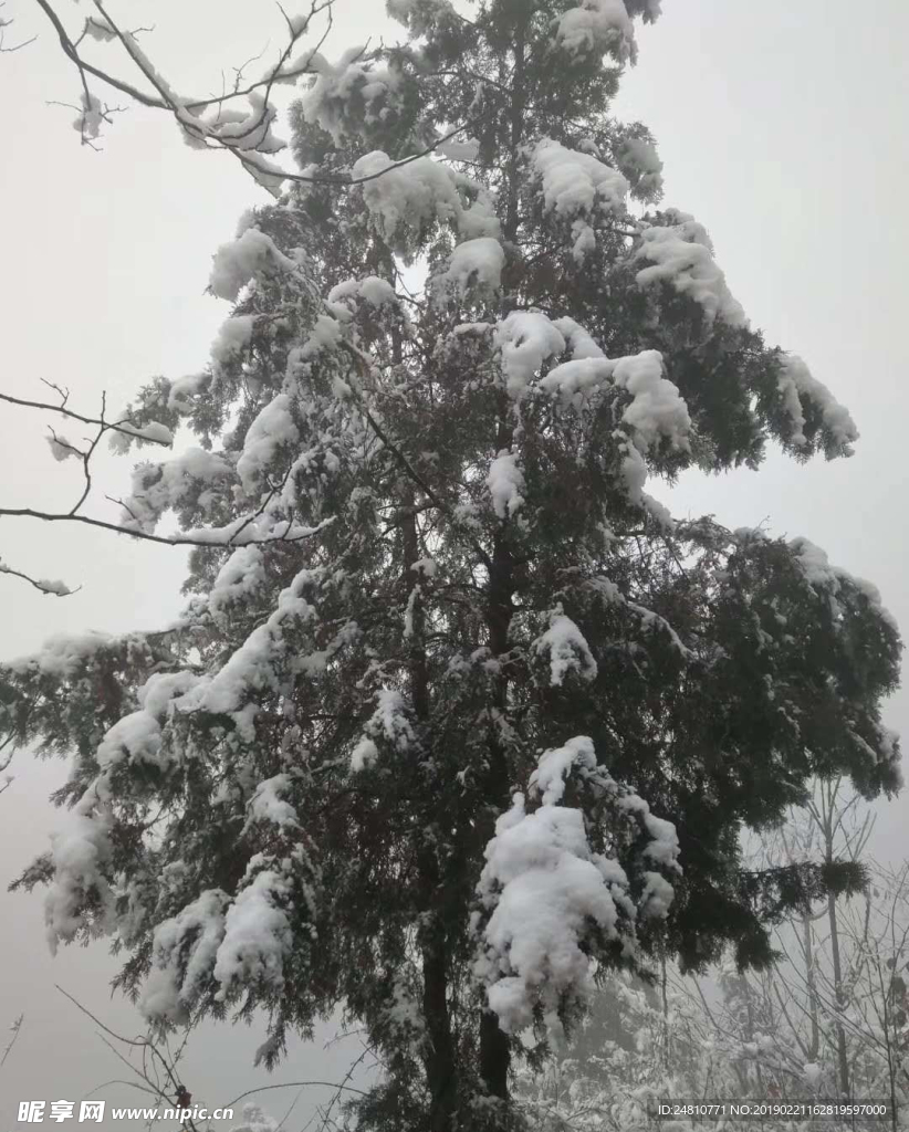 雪景