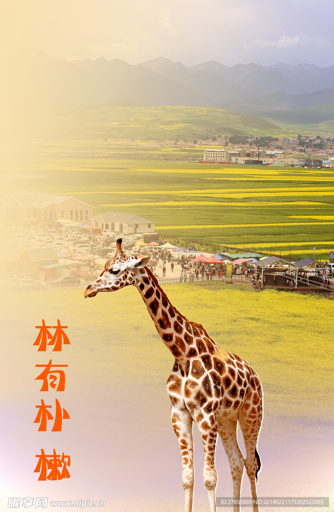 鹿
