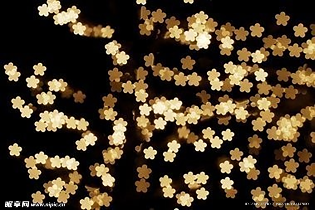 花朵光影