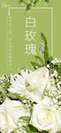 白玫瑰手机海报