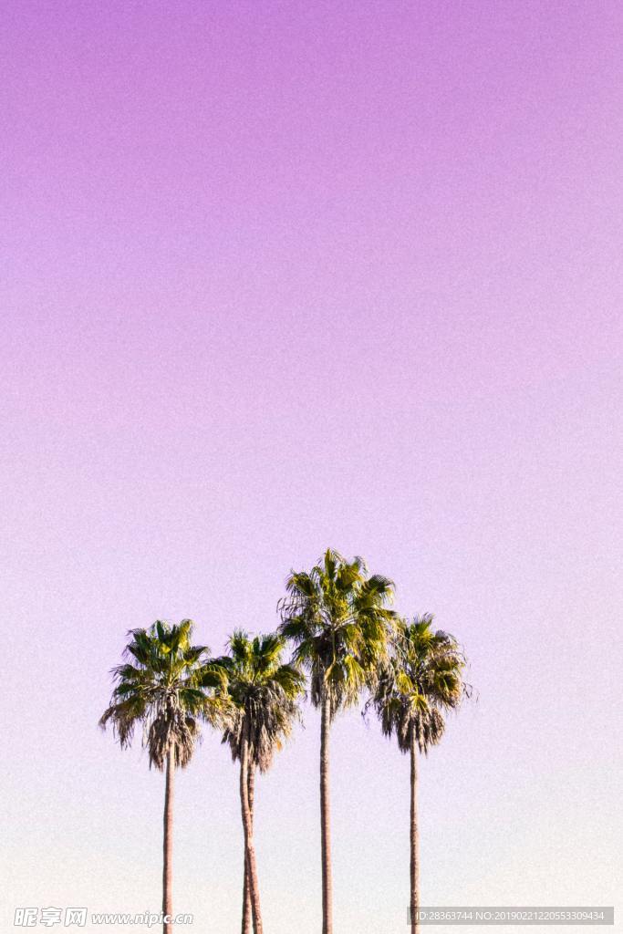 浪漫