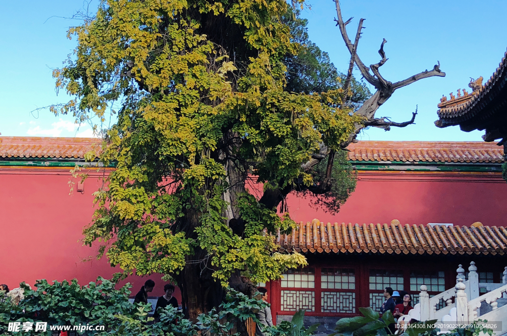 北京故宫花园