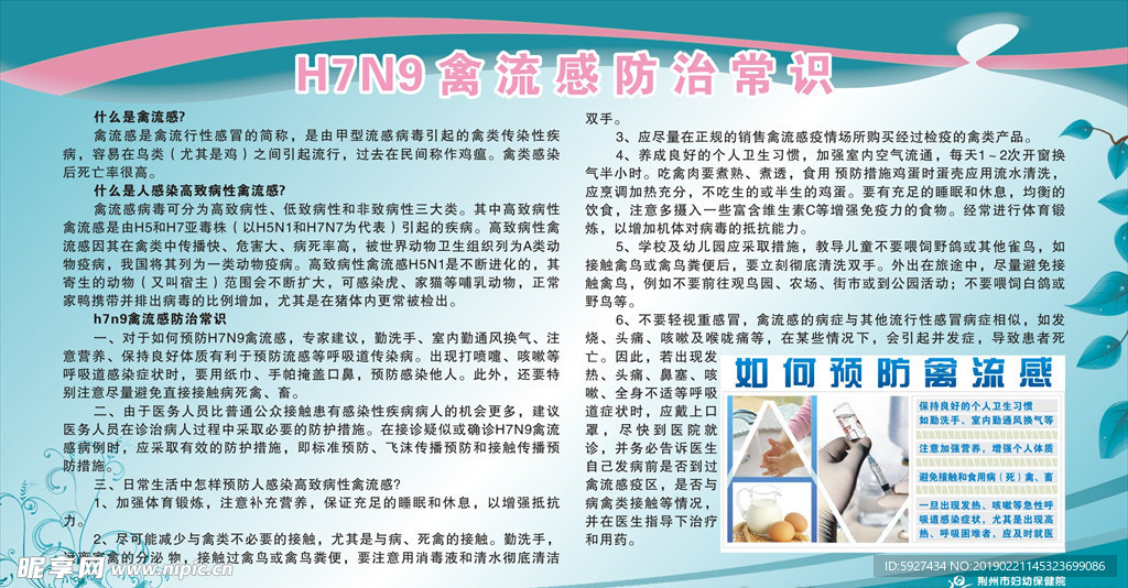 H7N9禽流感防治常识