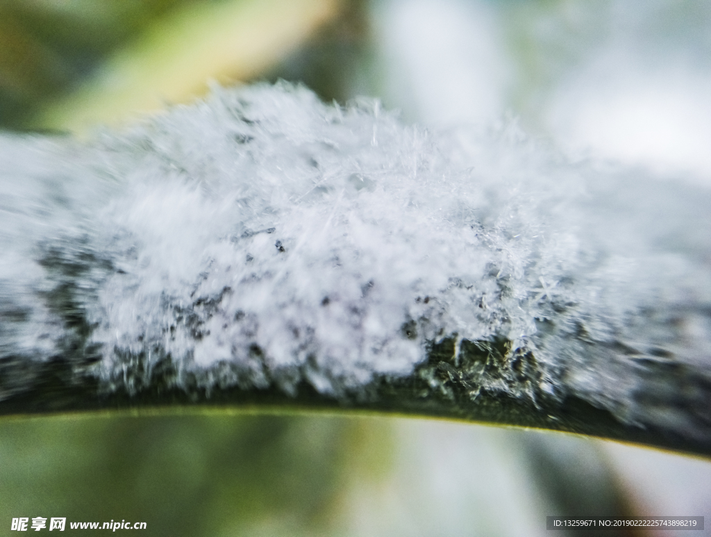 冰 雪 特写