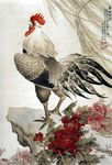 冯英杰工笔画鸡
