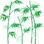 绿色竹子