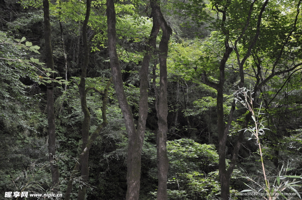 自然风景