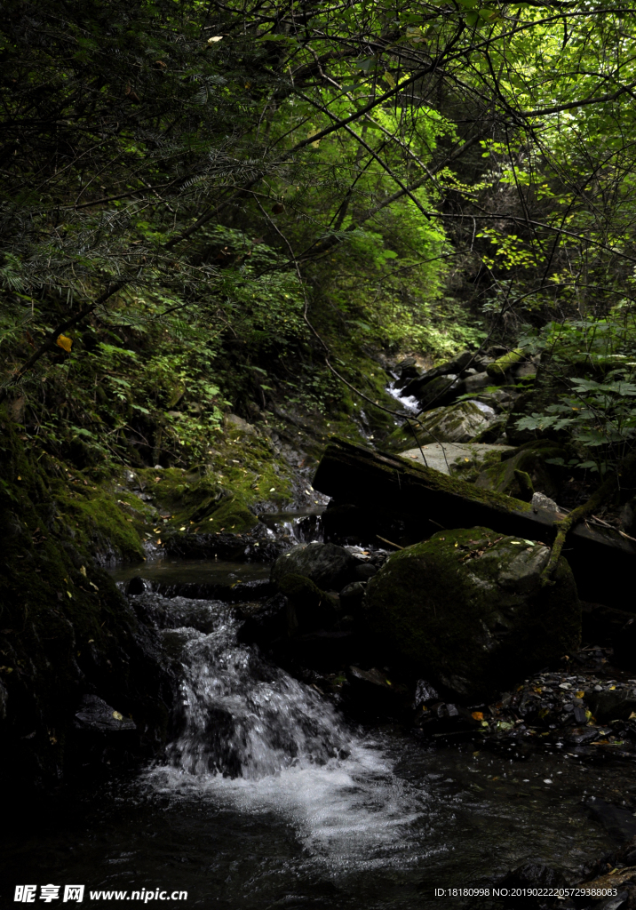 自然风景