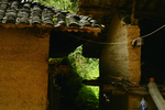 人文风景