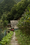 自然风景