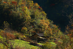 自然风景