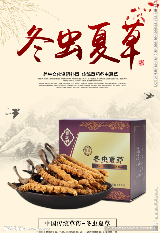 冬虫夏草宣传海报
